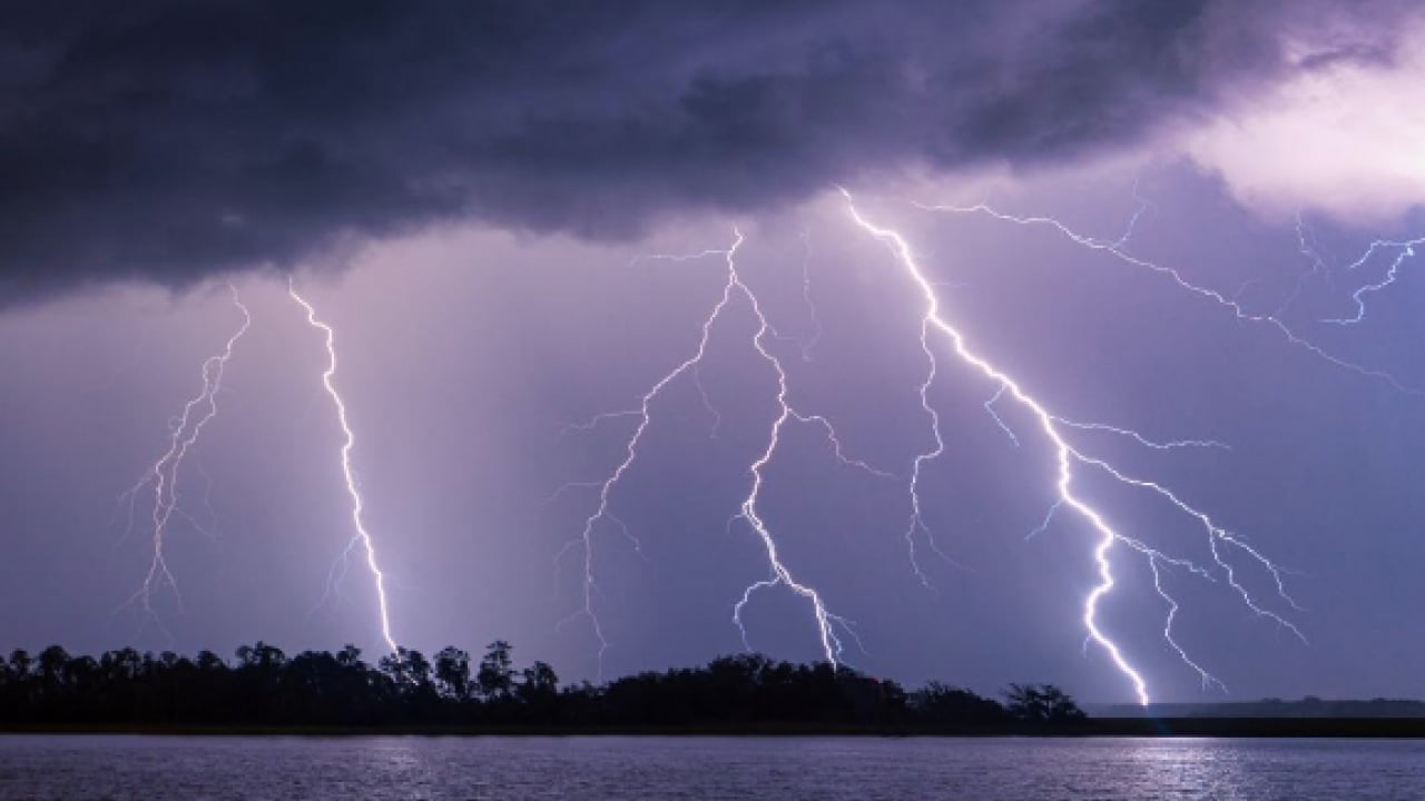 Foto - Gök gürlediği anda bir ağacın altına koşmayın! Sebebi şoke ediyor! Enteresan bir rapor!