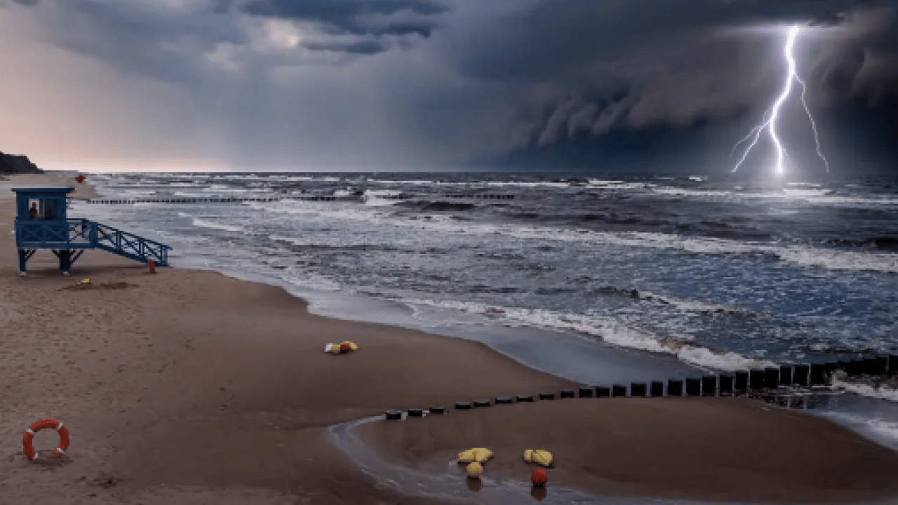 Foto - Gök gürlediği anda bir ağacın altına koşmayın! Sebebi şoke ediyor! Enteresan bir rapor!