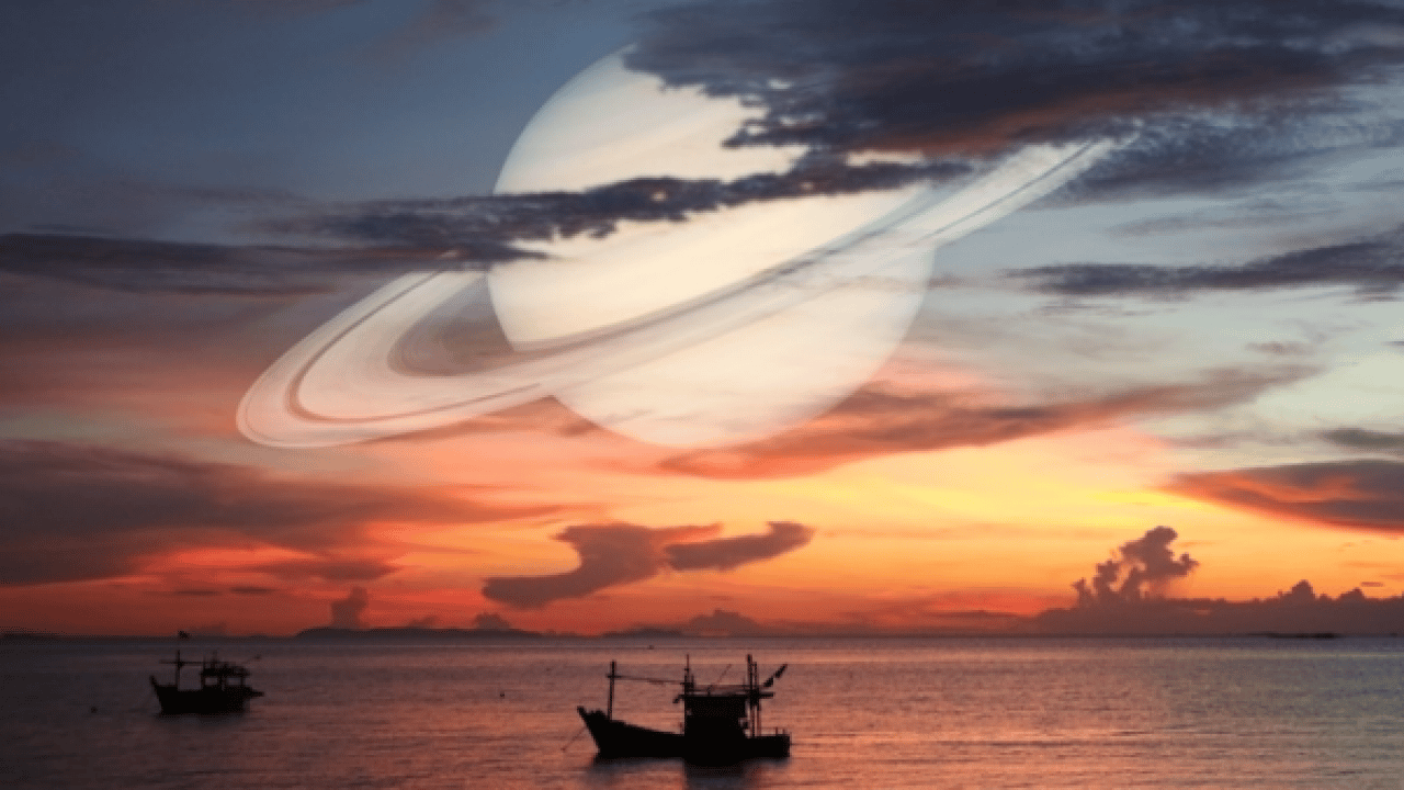 Foto - Gökyüzündeki yıldızlar mı yer yüzündeki ağaçlar mı daha fazla! Şaşırtan gerçekler