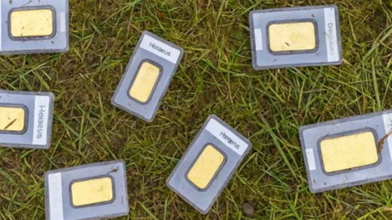 Gölde resmen altın hazinesi buldu! Belediye başkanı inanmakta zorlandı