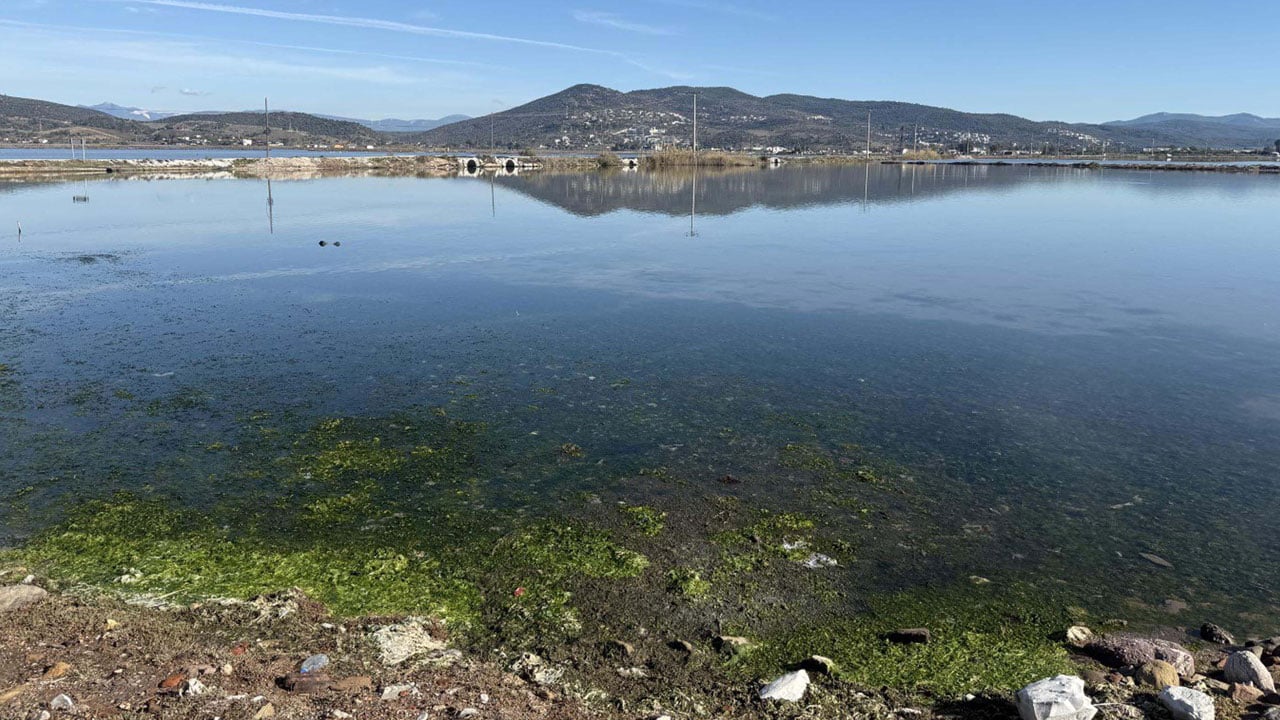 Foto - Gölün yüzeyi tamamen kaplandı! Flamingoların cenneti alarm veriyor