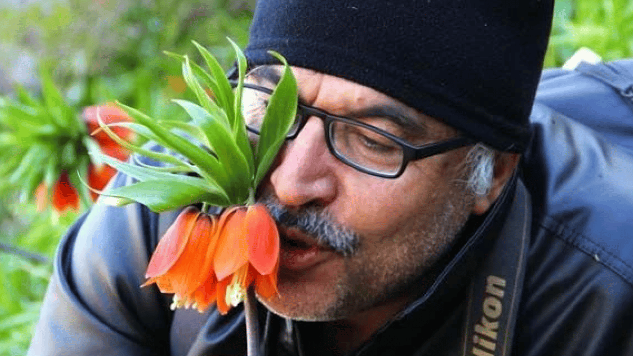 Foto - Gördüğünüz an uzaklaşın! Bu çiçeğe zarar vermenin cezası şoke etti