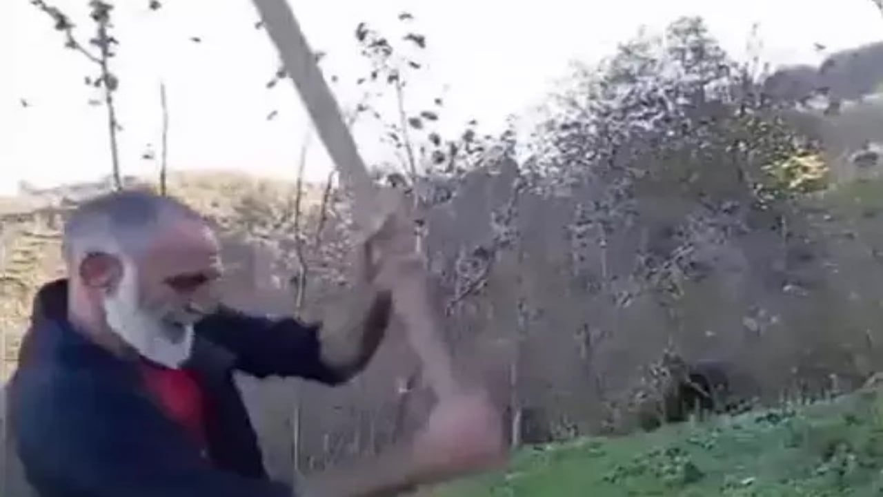 Foto - Gören dönüp bir daha baktı! "Memati"nin son hali sosyal medyayı salladı