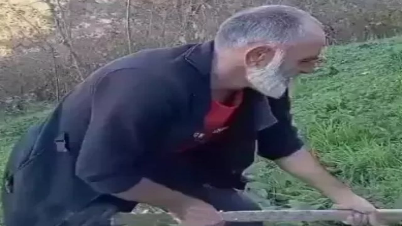 Foto - Gören dönüp bir daha baktı! "Memati"nin son hali sosyal medyayı salladı