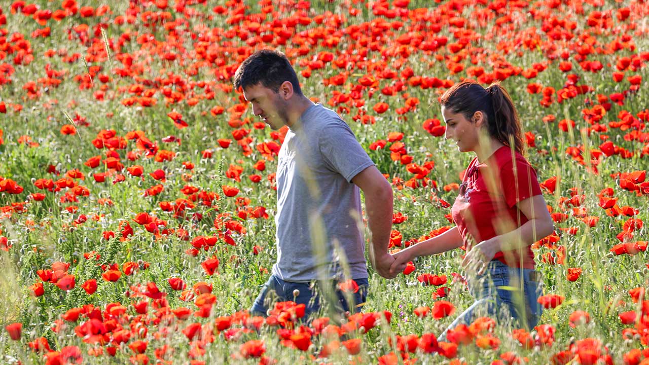 Foto - Gören kamerasını açıp koştu