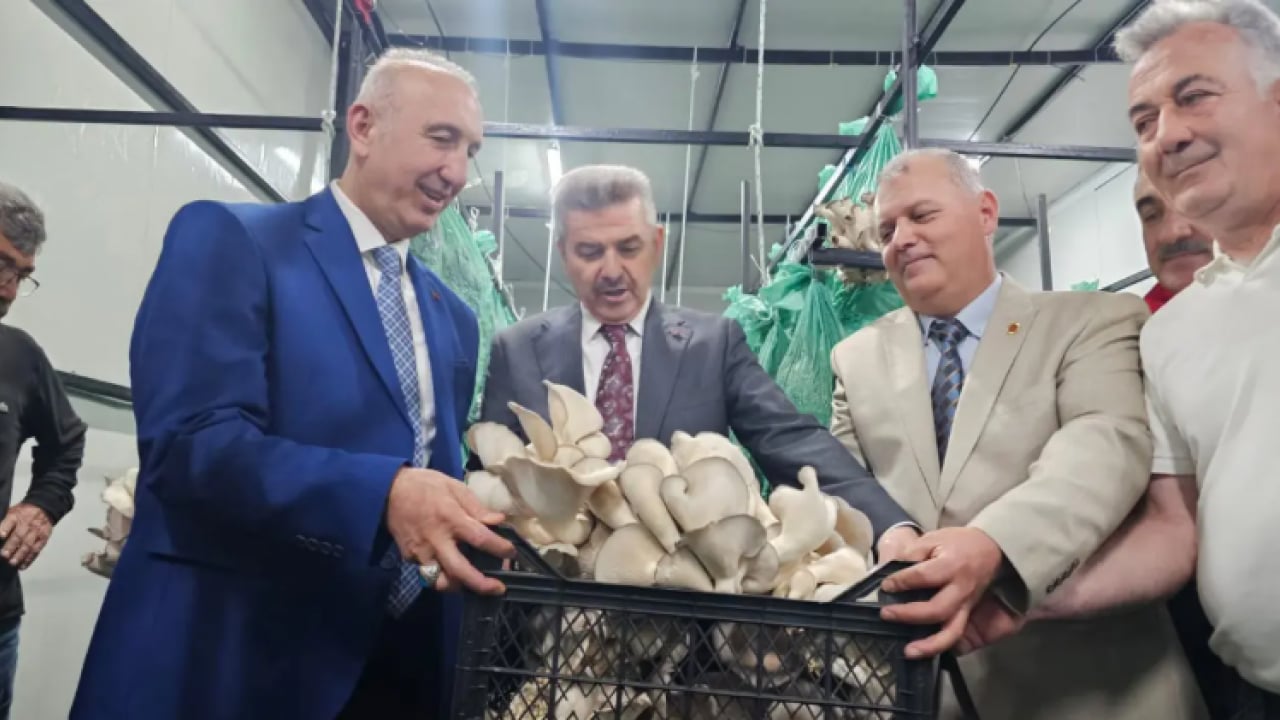 Foto - Gören otoyol zannediyor: Yıllık üretim hedefi 360 ton!