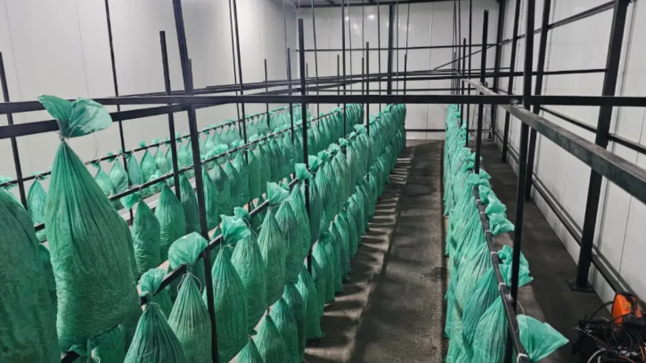 Foto - Gören otoyol zannediyor: Yıllık üretim hedefi 360 ton!