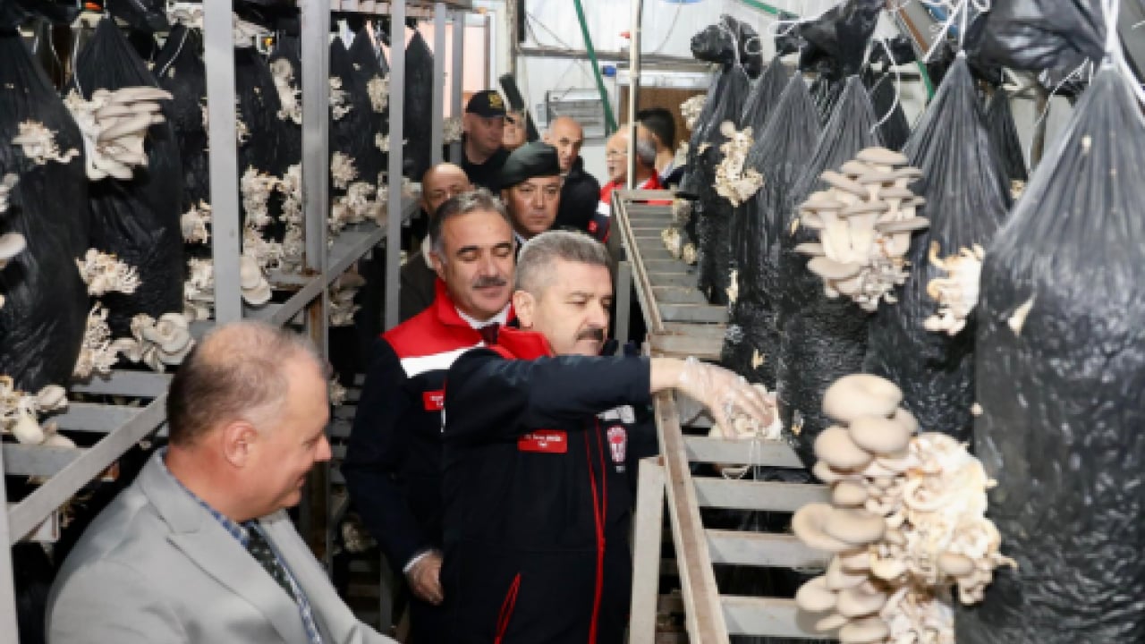 Foto - Gören otoyol zannediyor: Yıllık üretim hedefi 360 ton!