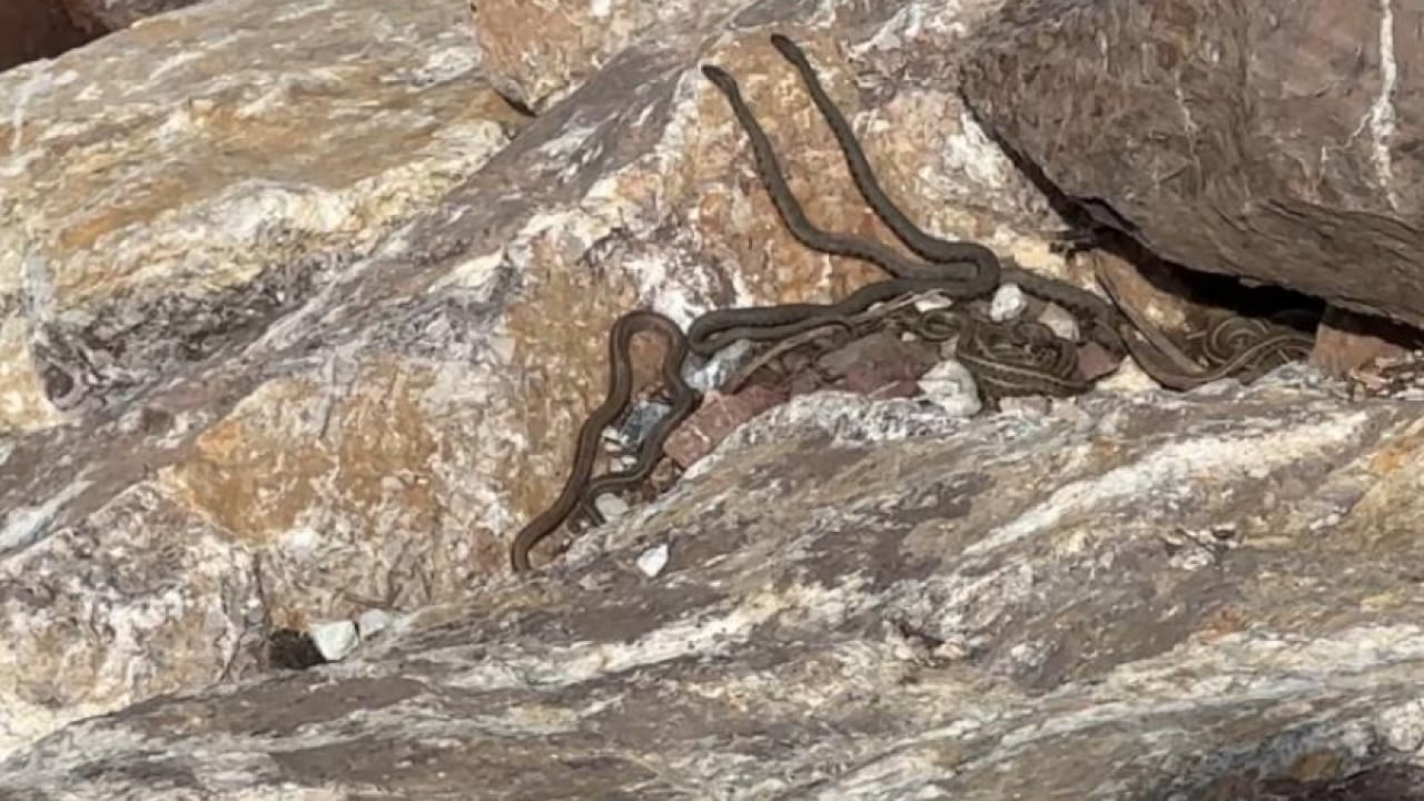 Foto - Görenler Brezilya sandı, ama... Bu görüntüler Hakkari'de çekildi