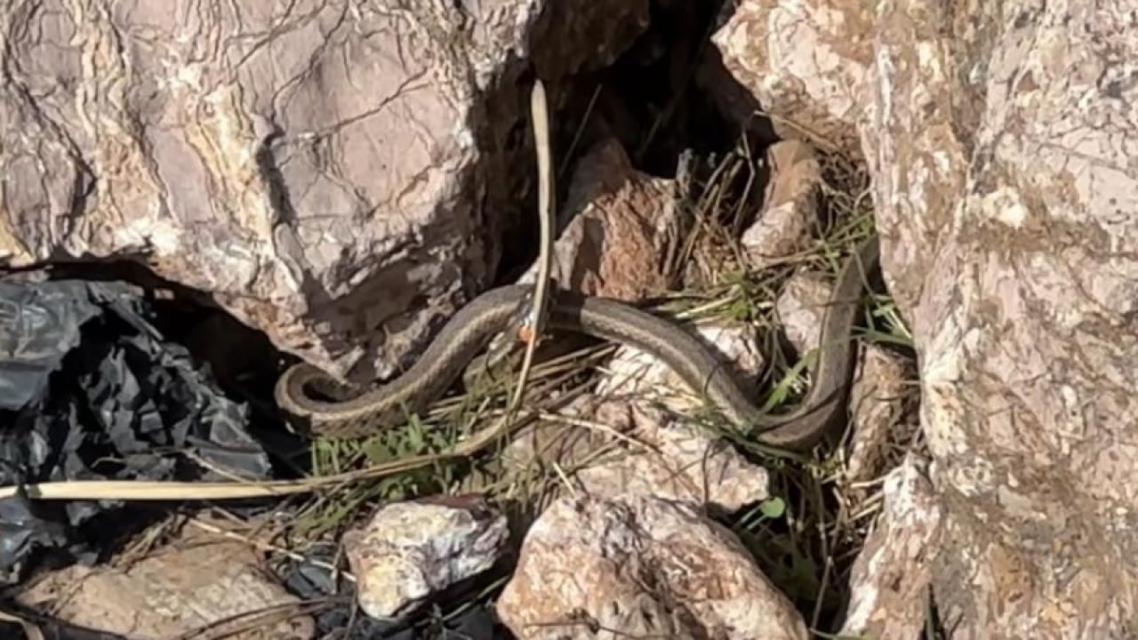 Foto - Görenler Brezilya sandı, ama... Bu görüntüler Hakkari'de çekildi