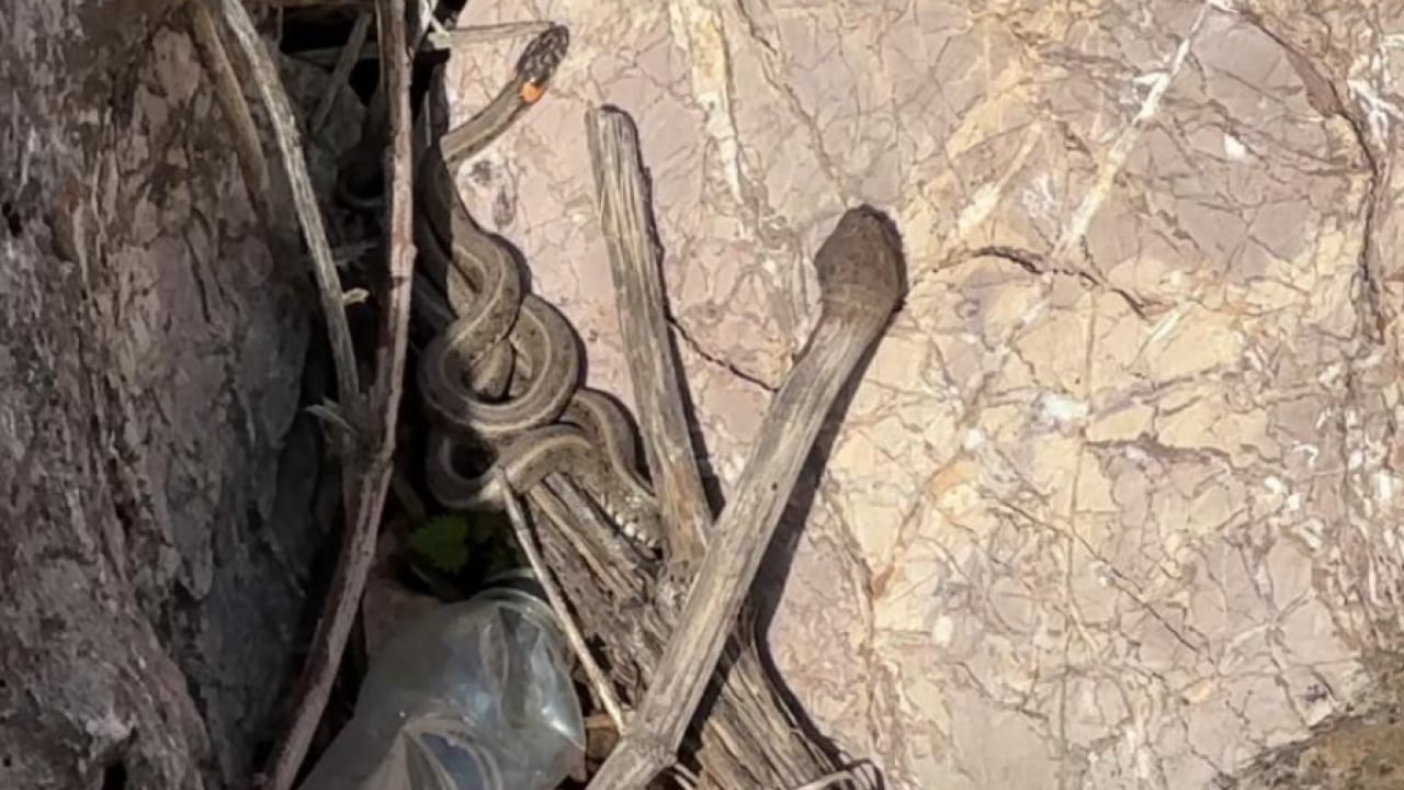 Foto - Görenler Brezilya sandı, ama... Bu görüntüler Hakkari'de çekildi