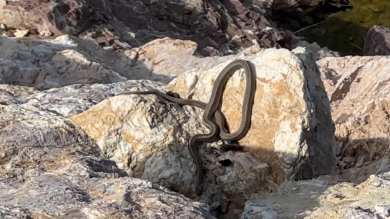 Foto - Görenler Brezilya sandı, ama... Bu görüntüler Hakkari'de çekildi