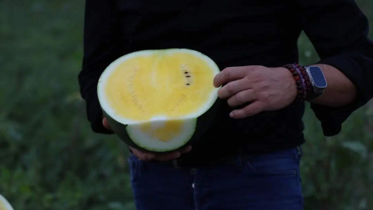 Foto - Görenler dönüp bir daha bakıyor: Dışı yeşil içi sarı!