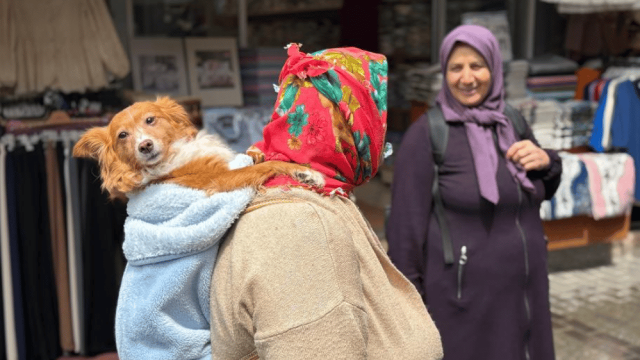 Foto - Görenler dönüp bir daha baktı: Trabzon sokaklarında sıra dışı anlar