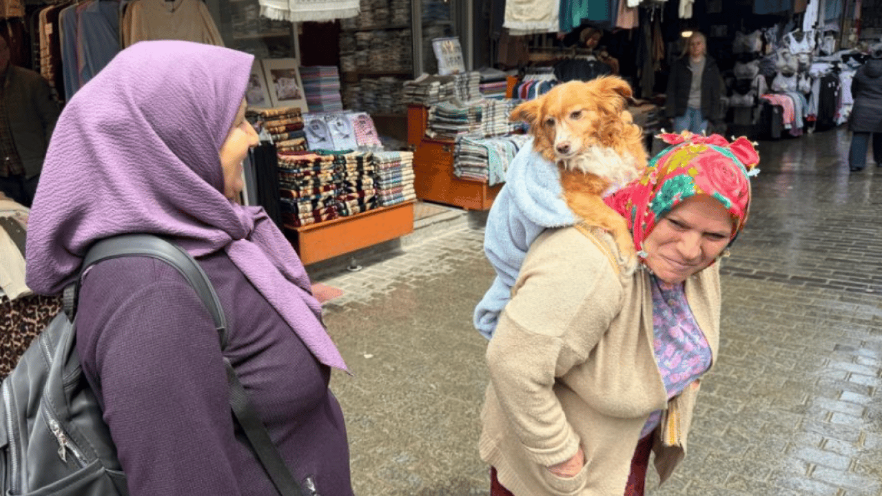 Foto - Görenler dönüp bir daha baktı: Trabzon sokaklarında sıra dışı anlar