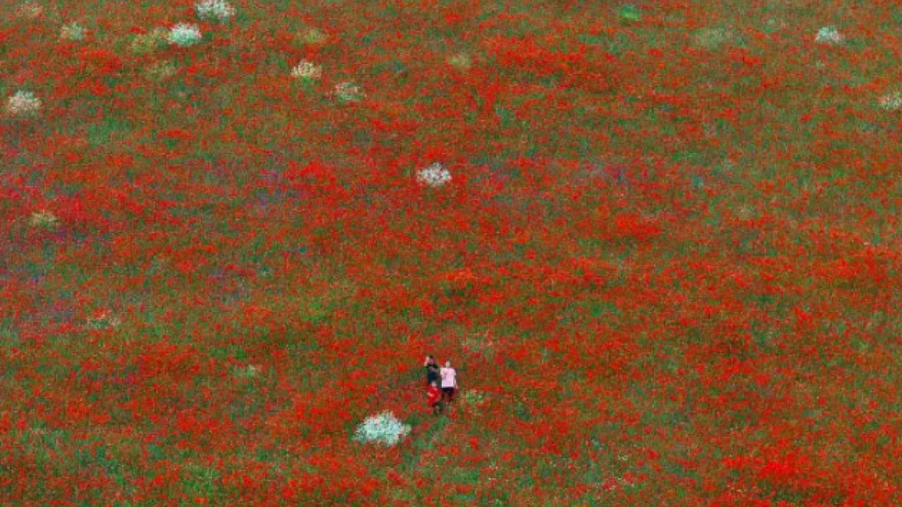 Foto - Herkes hayran kaldı: İlk kez böyle görüntülendi!