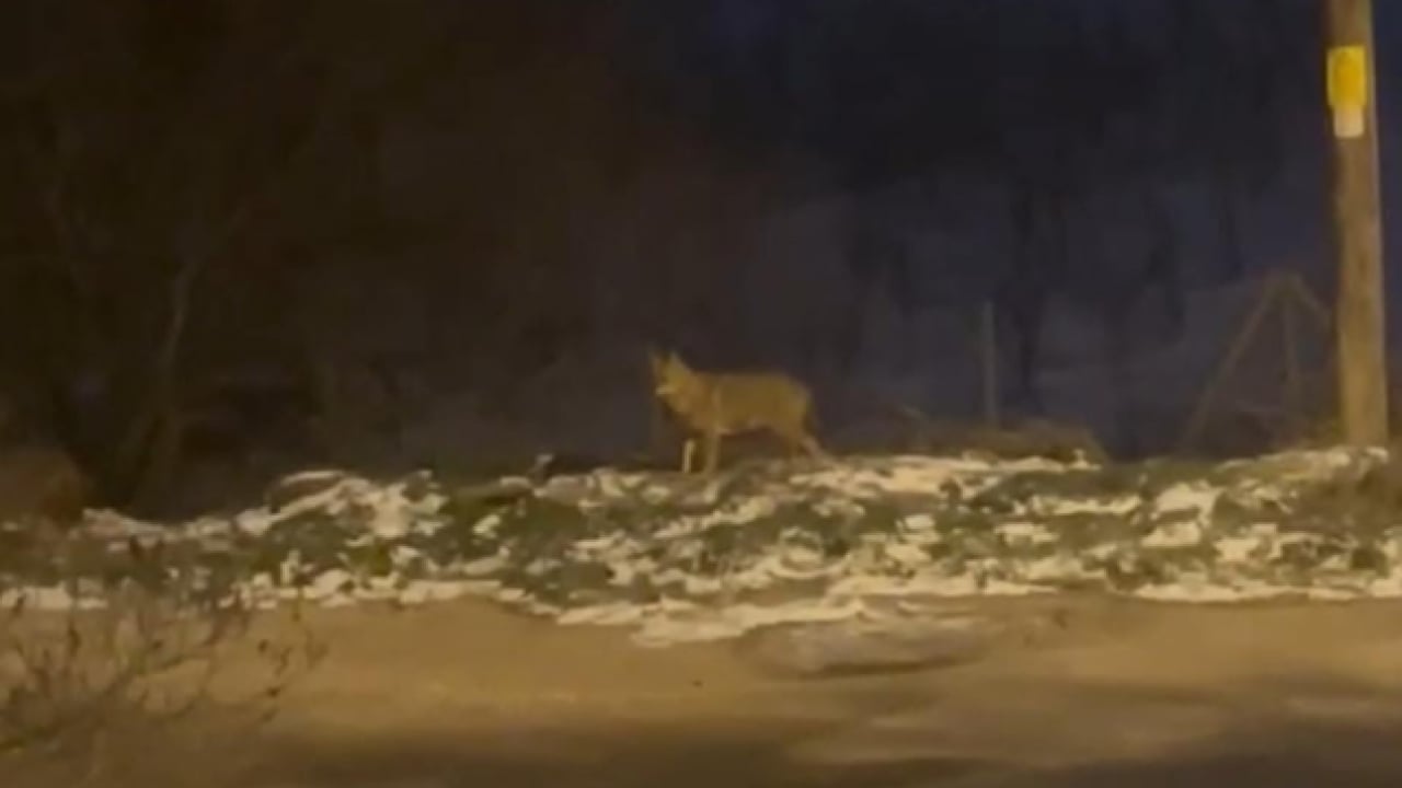 Foto - Görenler hemen telefonu çıkardı: Ankara'da hayrete düşüren manzara!