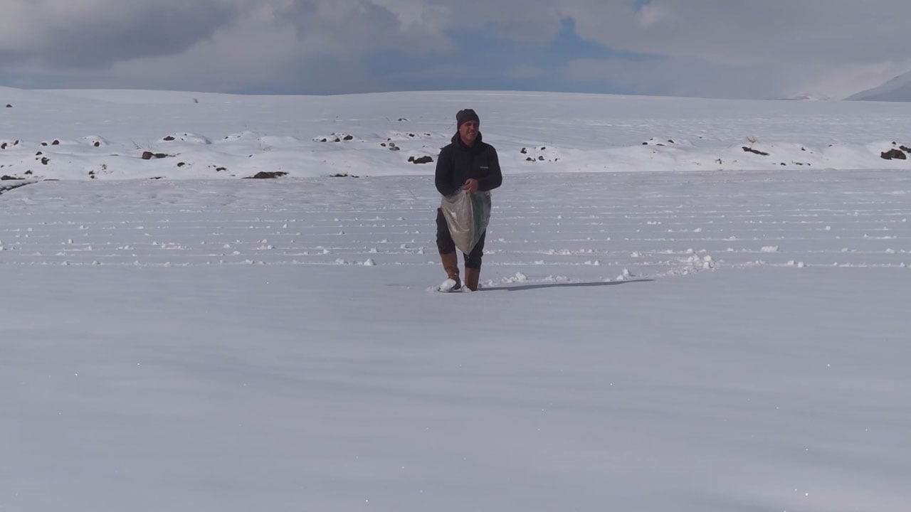 Foto - Görenler inanmakta zorlandı! Karla kaplı tarlaya ekim yaptı