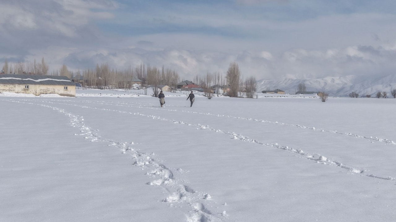 Foto - Görenler inanmakta zorlandı! Karla kaplı tarlaya ekim yaptı