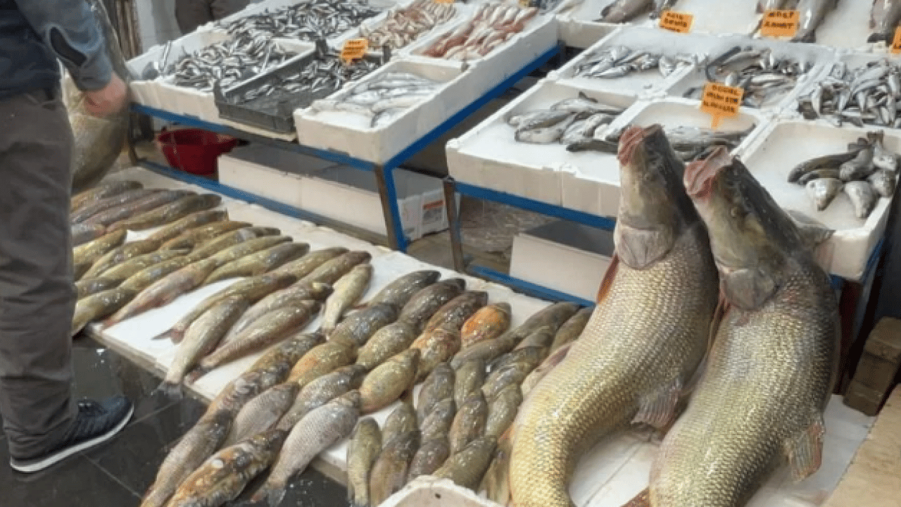 Foto - Görenler neye uğradığını şaşırdı! 2 metre uzunluğunda ve 120 kilo ağırlığında