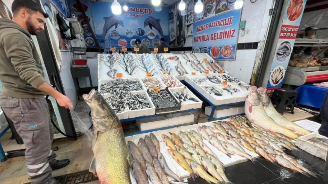 Foto - Görenler neye uğradığını şaşırdı! 2 metre uzunluğunda ve 120 kilo ağırlığında