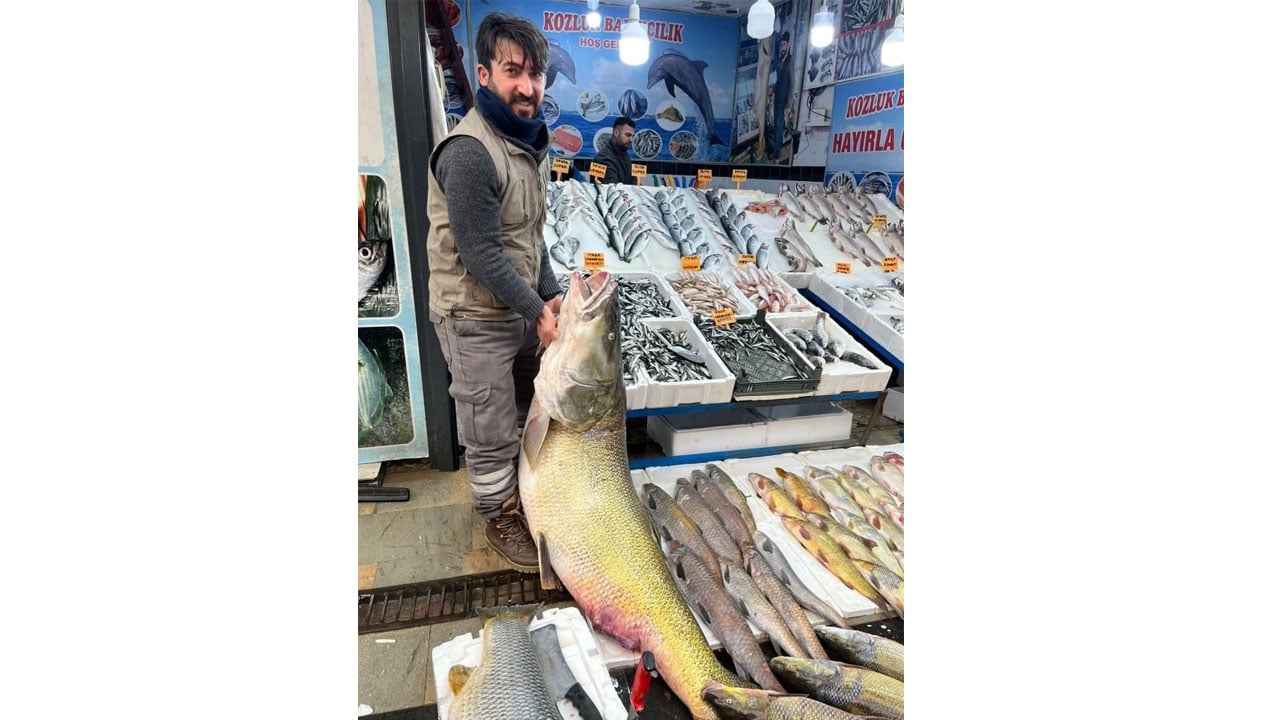 Foto - Görenler neye uğradığını şaşırdı! 2 metre uzunluğunda ve 120 kilo ağırlığında