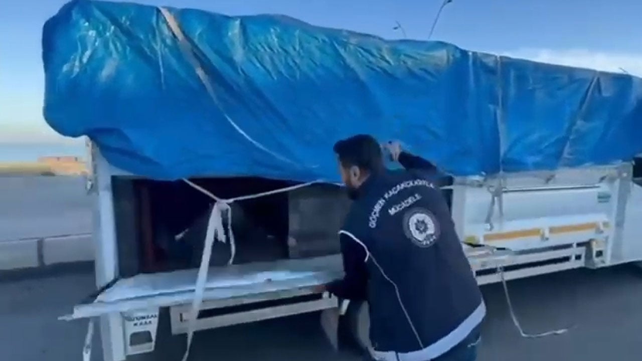 Görenler şaşırıp kaldı! Bakın hayvan dışkılarının altından ne çıktı