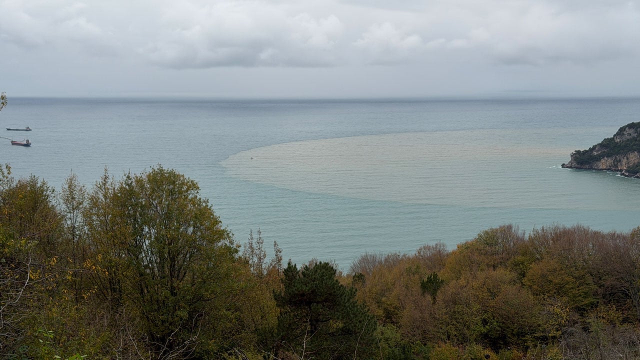 Foto - Görenler şaşırıp kaldı! Deniz bir anda kahverengiye döndü