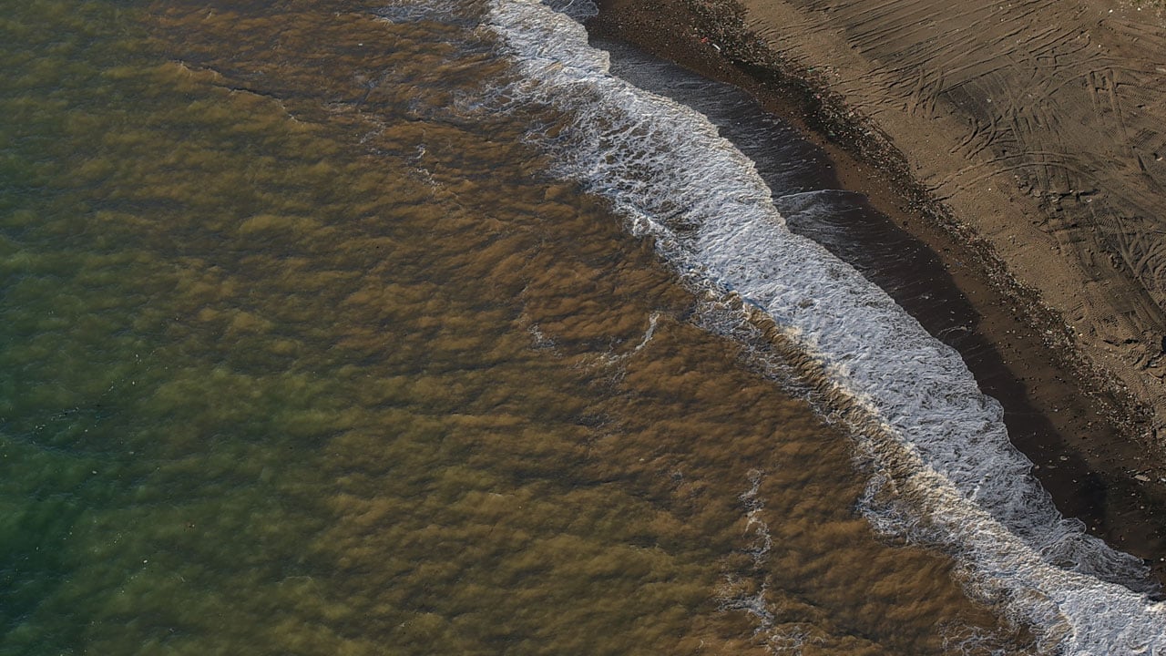 Foto - Görenler şaşırıp kaldı! Trabzon sahilinde dikkat çeken manzara