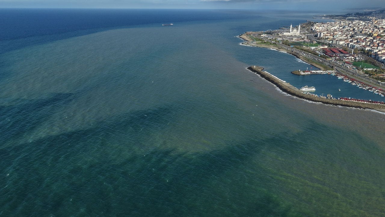 Foto - Görenler şaşırıp kaldı! Trabzon sahilinde dikkat çeken manzara