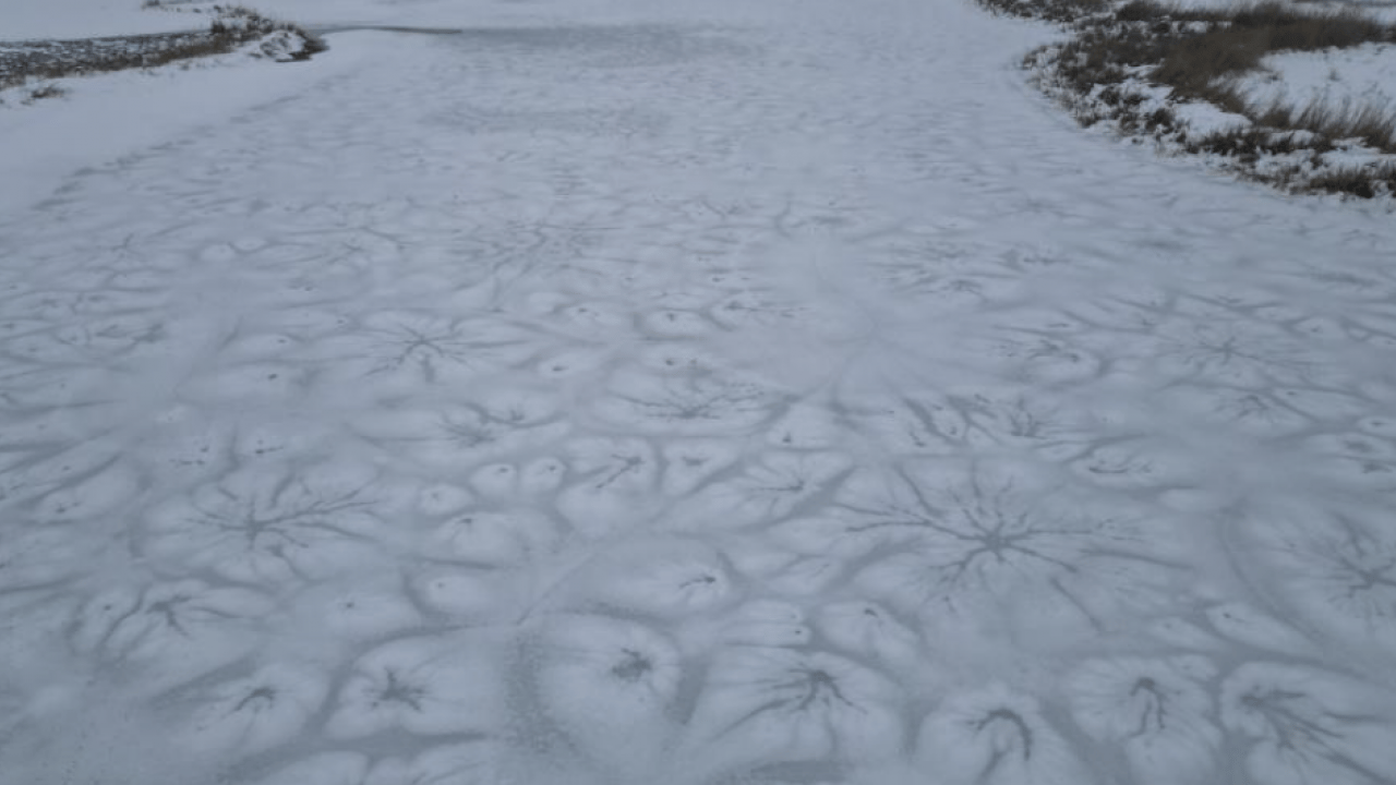 Foto - Görenler şaşkına döndü! O ilimizde tüm göller buz tuttu