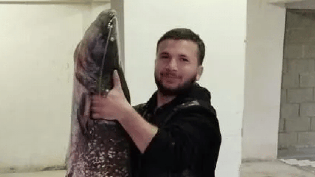 Foto - Görenler şaştı kaldı! Su seviyesi düşen Boğazköy Barajı'nda dev yayın balıkları ilçeyi ayağa kaldırdı! İnegöl'de gelişme