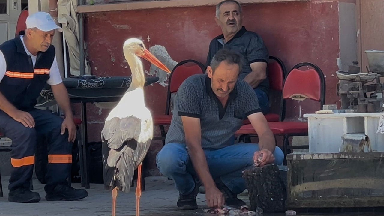 Foto - Görenler Yaren sanıyor ama... Kayıkta değil kahvehane önünde buluşuyorlar