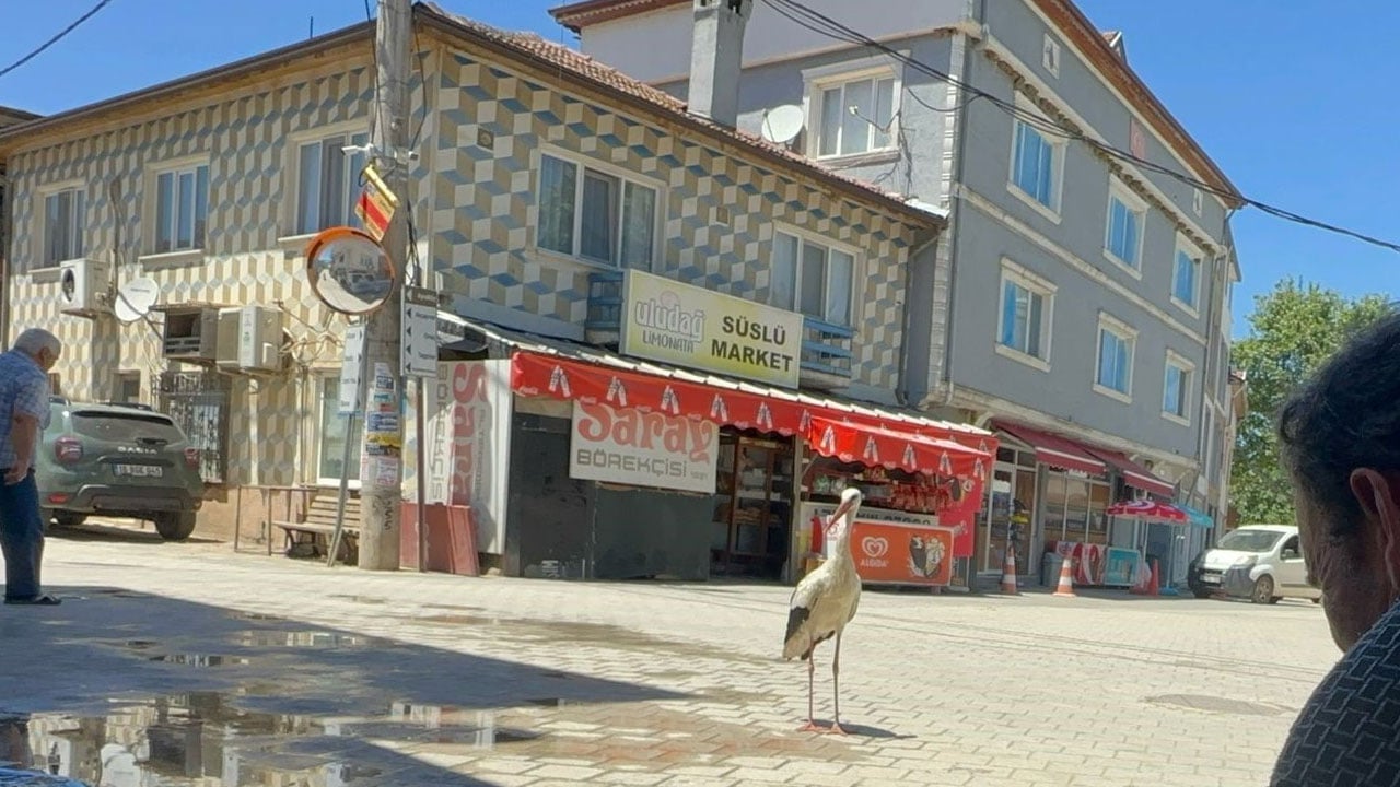 Foto - Görenler Yaren sanıyor ama... Kayıkta değil kahvehane önünde buluşuyorlar