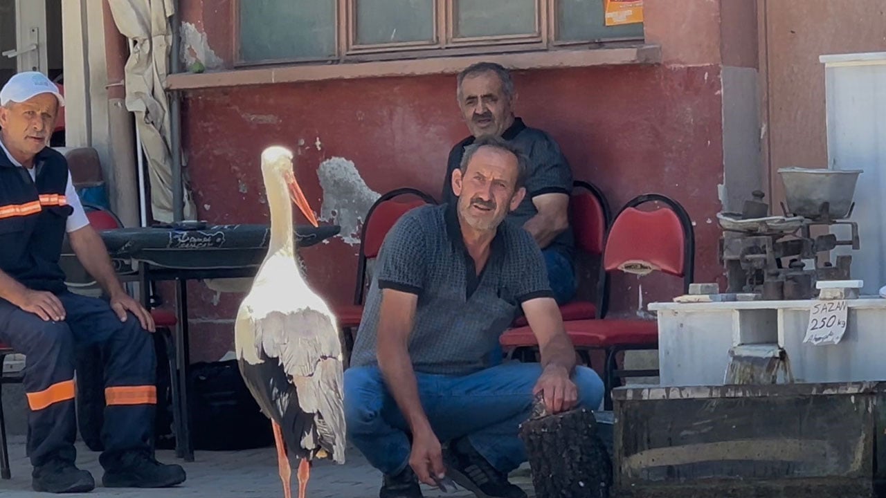 Görenler Yaren sanıyor ama... Kayıkta değil kahvehane önünde buluşuyorlar