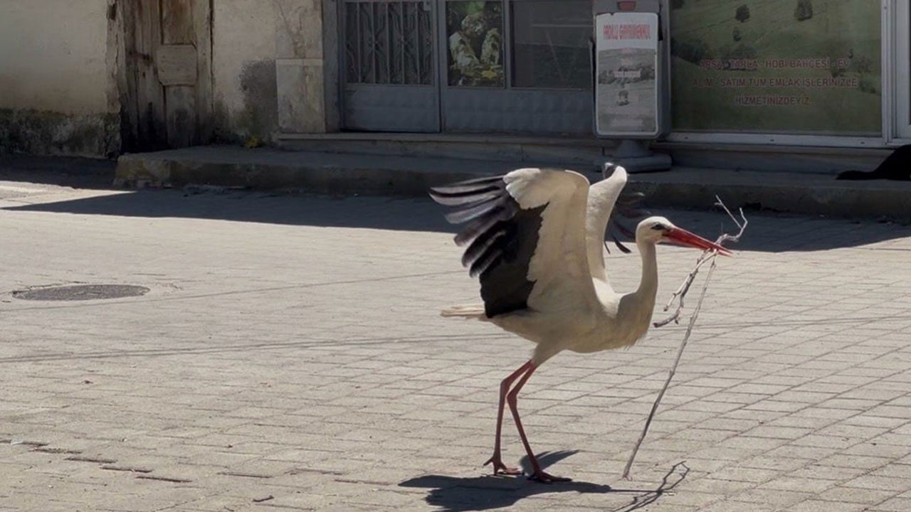 Foto - Görenler Yaren sanıyor ama... Kayıkta değil kahvehane önünde buluşuyorlar