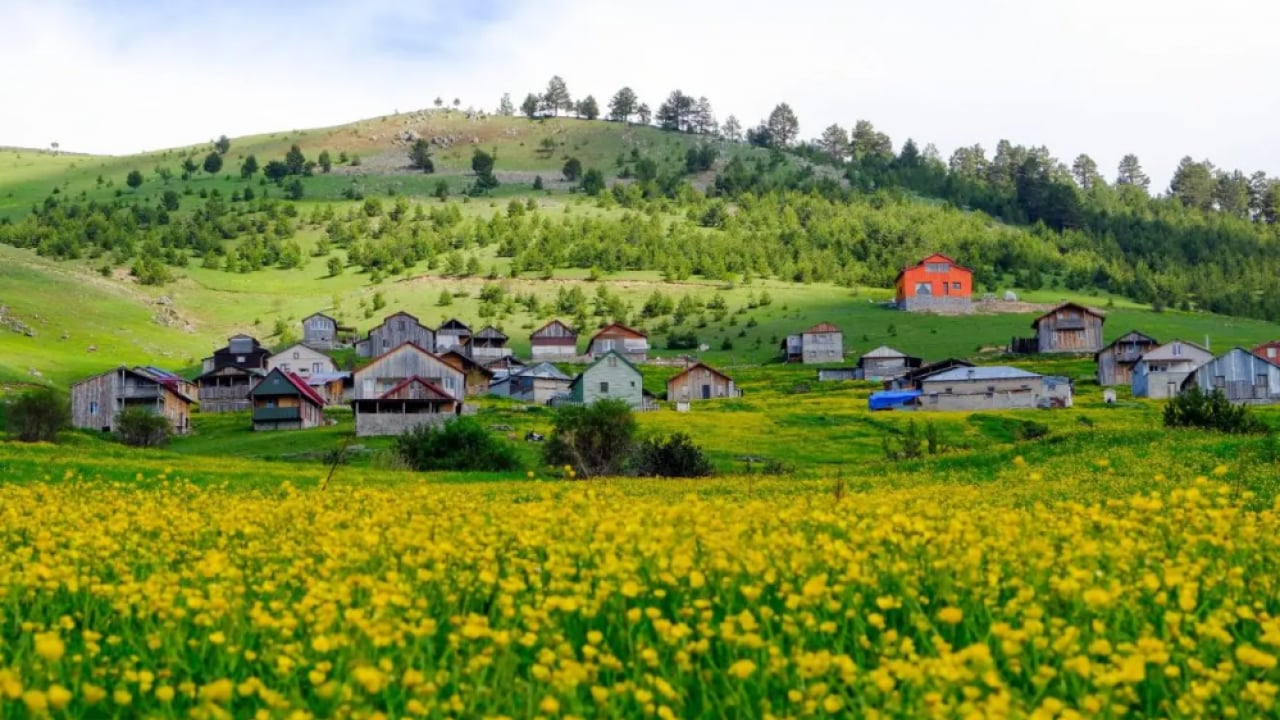 Görenleri mest ediyor! 300 yıllık yaylaya bahar geldi!