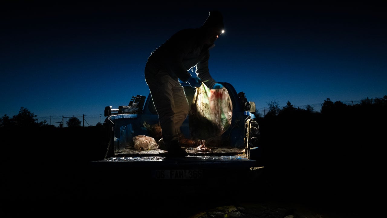 Görüntüler nefes kesiyor! Leşlerle dolu bu istasyona fotoğrafçılar akın ediyor