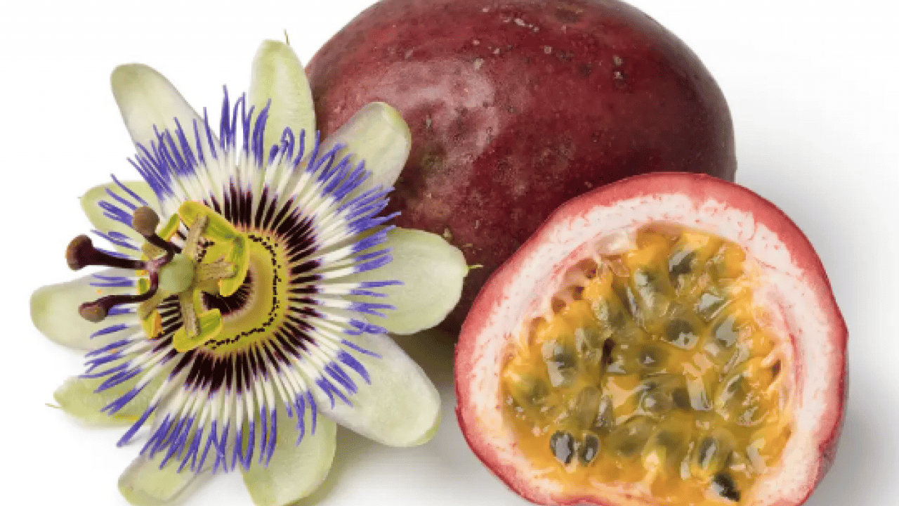 Foto - Görüntüsüne burun kıvırmayın! Bu meyve 1 kutu ilaca bedel: Tam bir şifa deposu maşallah...