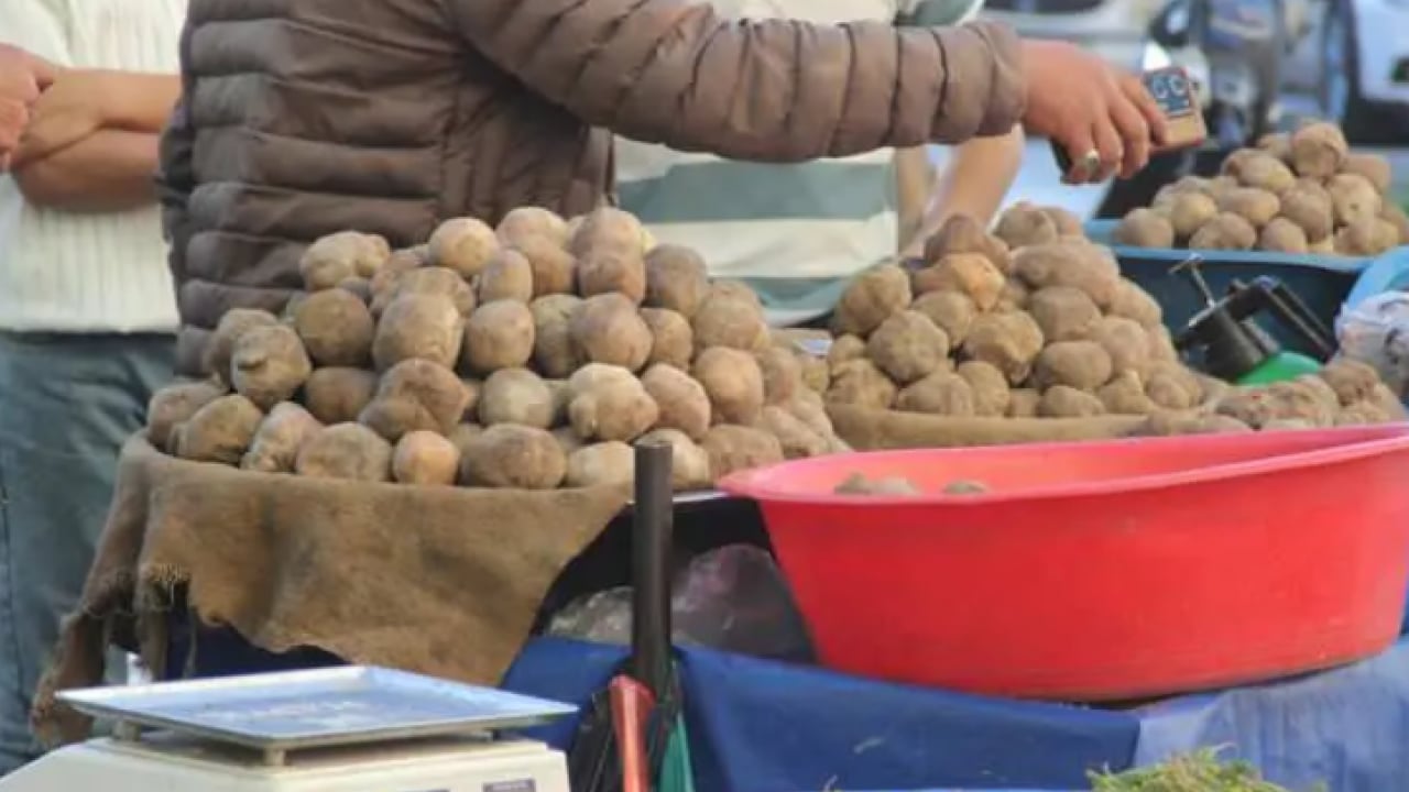 Patates zannedenler yanılıyor: Kilosu 2 bin TL'den satılıyor!