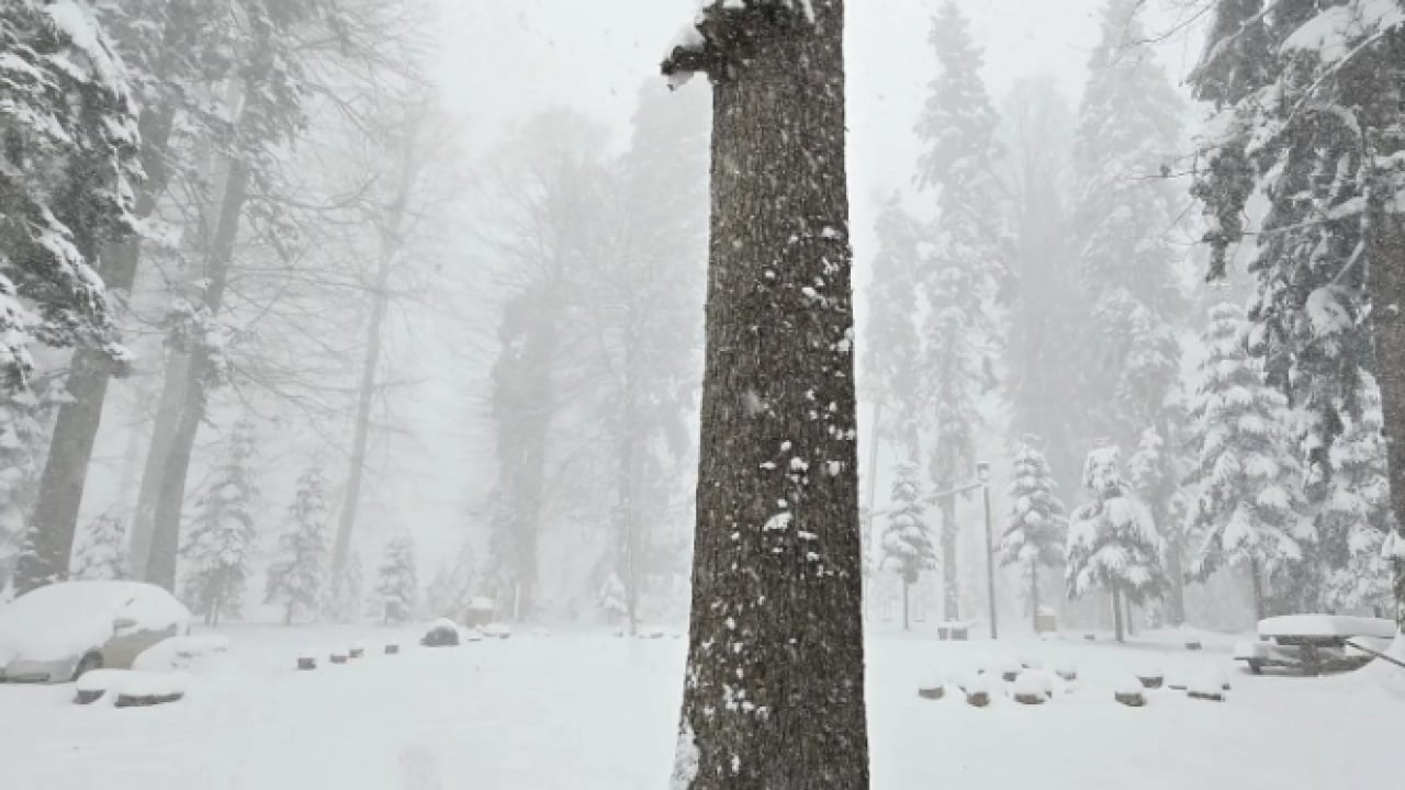 Foto - Göz gözü görmeyecek! İşte 10 Ocak'ta kar yağacak iller