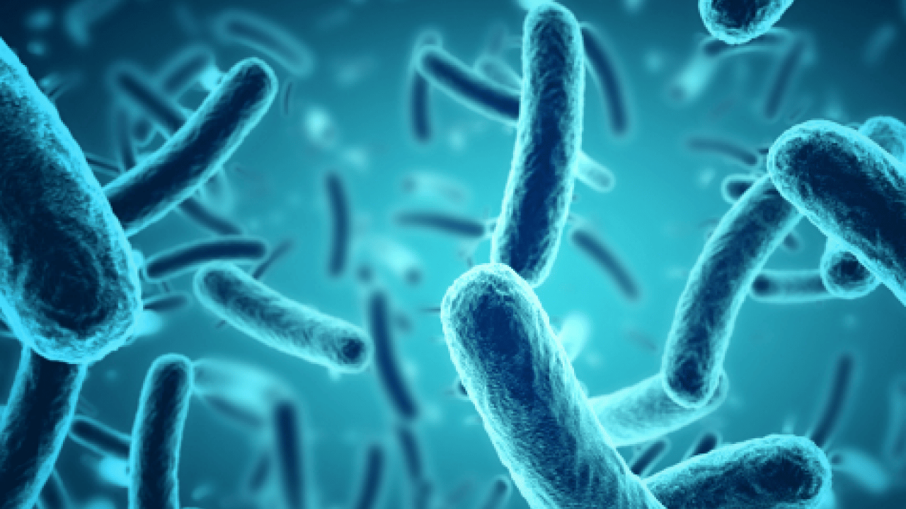 Foto - Grip virüsünün bulaşma rekor hızına dikkat!: Antiviral tedaviye başlamak için...