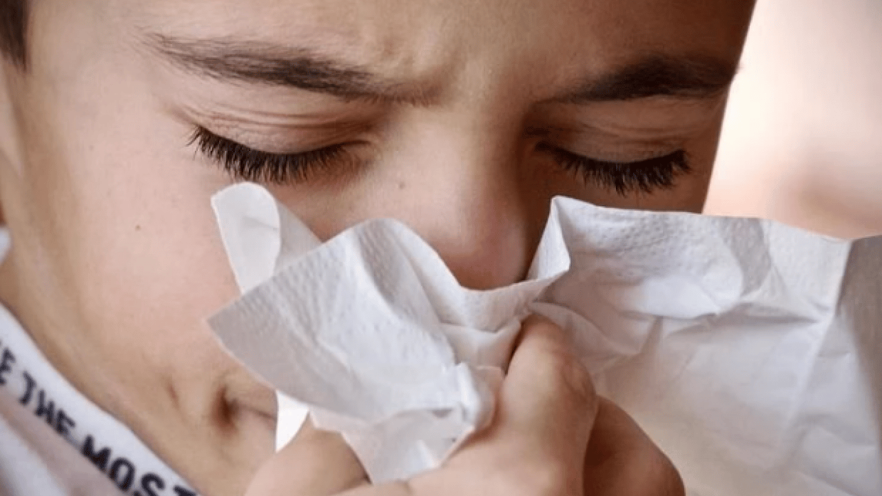 Foto - Gripten daha tehlikeli Ölüme neden olabilir