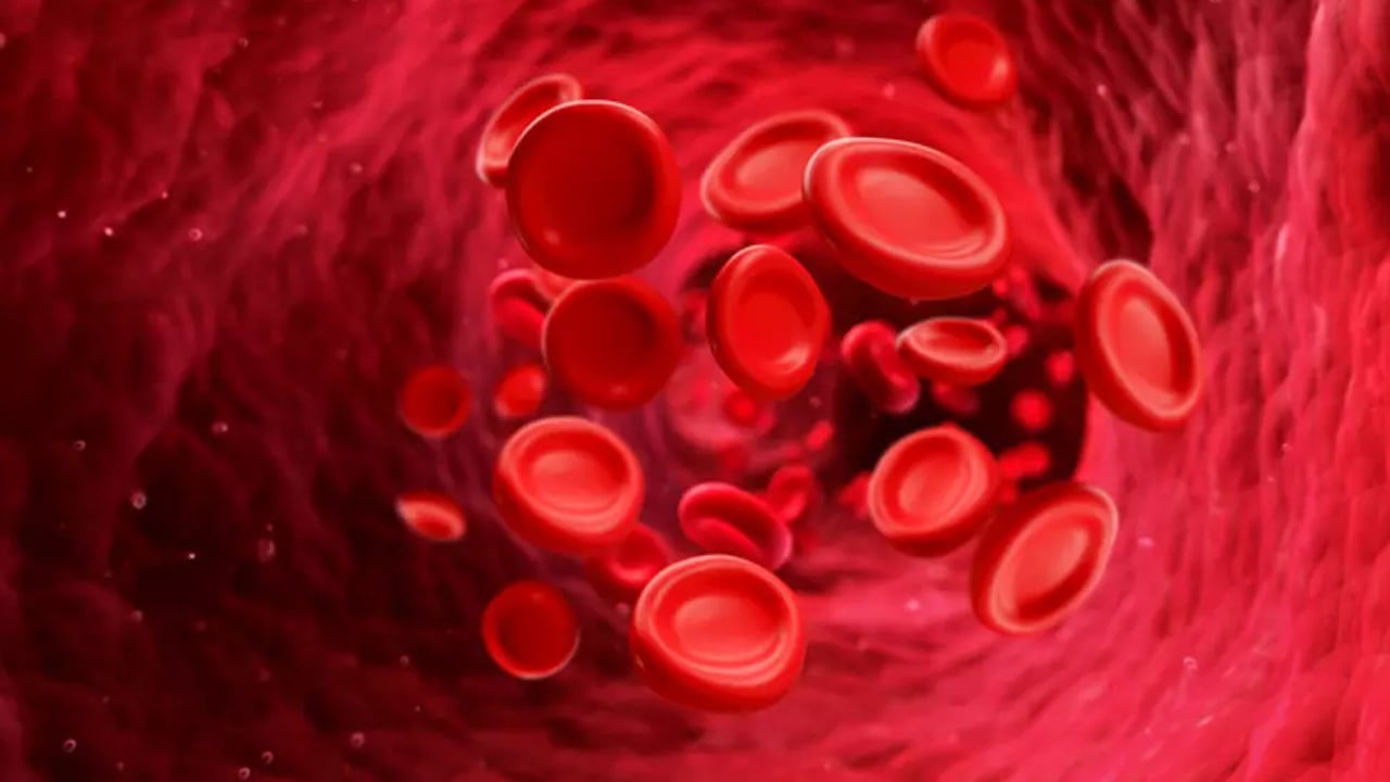 Foto - Bağışıklık mı, yoksa kan grubu mu, dikkate alınmalı?