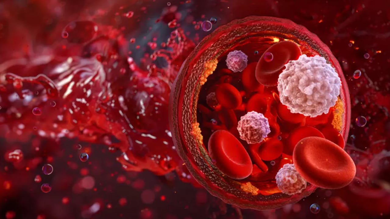 Foto - Bağışıklık mı, yoksa kan grubu mu, dikkate alınmalı?