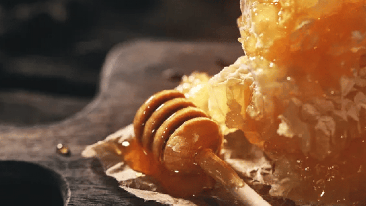 Foto - Guinness Rekorlar Kitabı’na girdi! Dünyanın en pahalı balı bakın hangi ilimizde