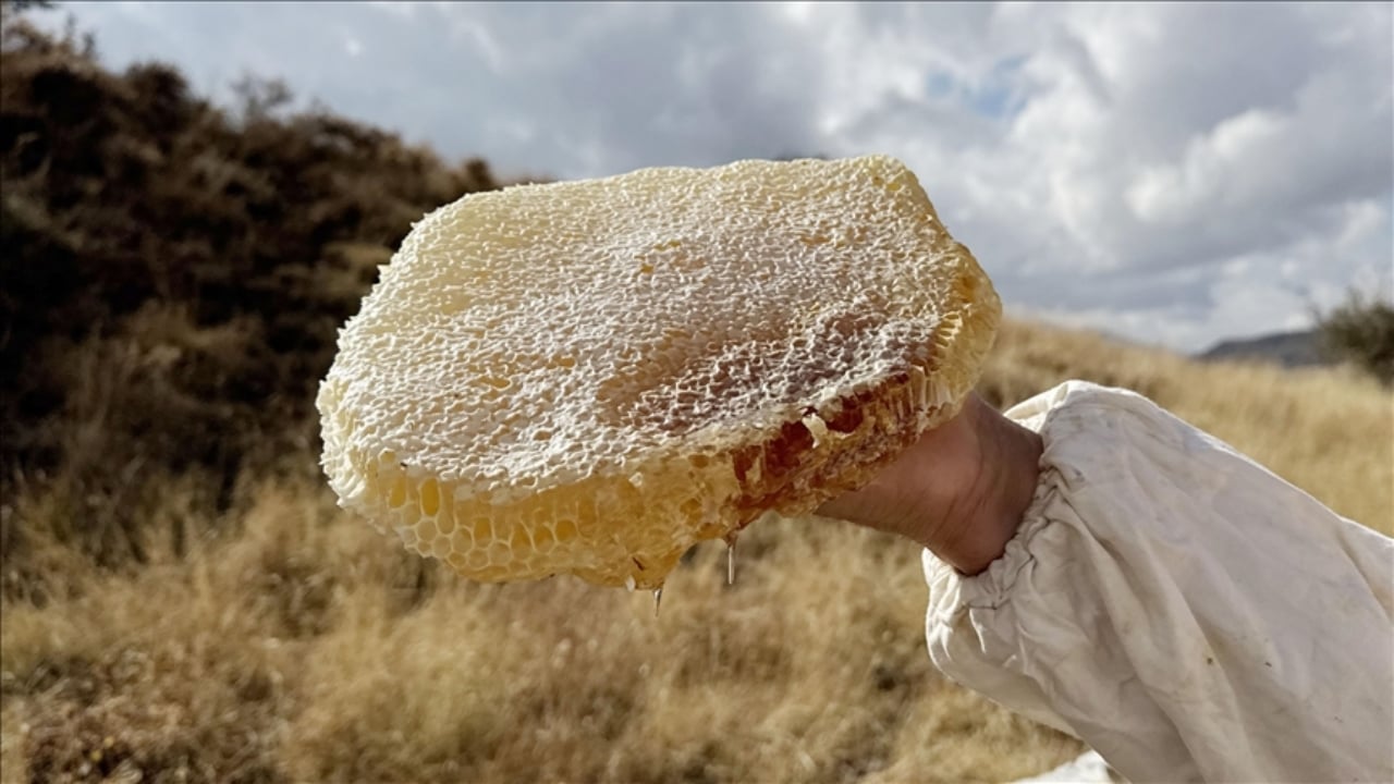 Guinness Rekorlar Kitabı’na girdiler! Dünyanın en pahalı balı o ilçemizde satıldı