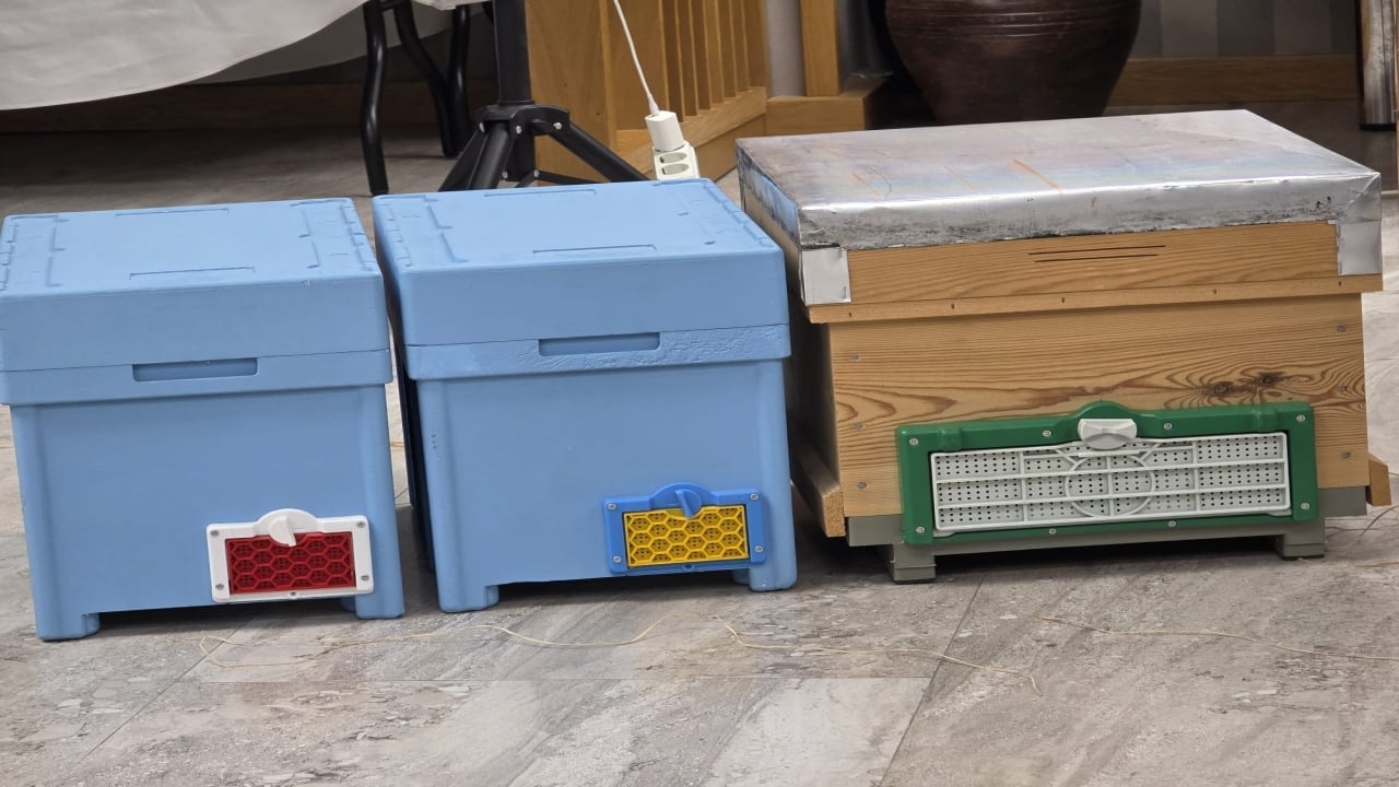 Foto - Guinness Rekorlar Kitabı’na girdiler! Dünyanın en pahalı balı o ilçemizde satıldı