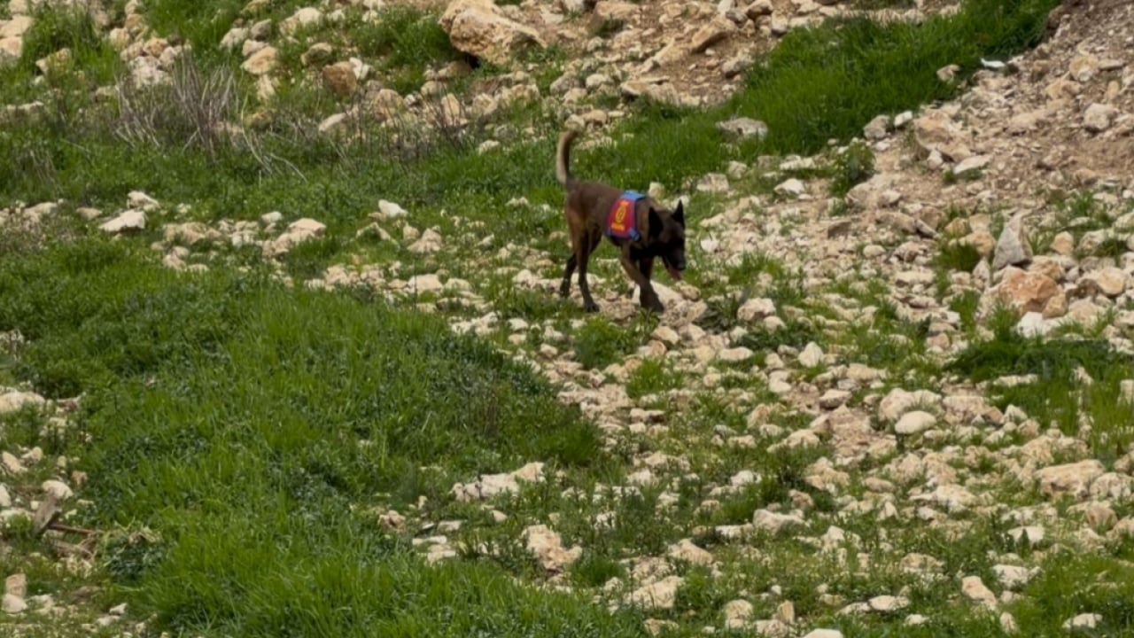 Foto - Gülistan Doku’nun cansız bedeni için kritik arama: Gömüldüğü yer araştırılıyor! JAK ve JASAT devrede