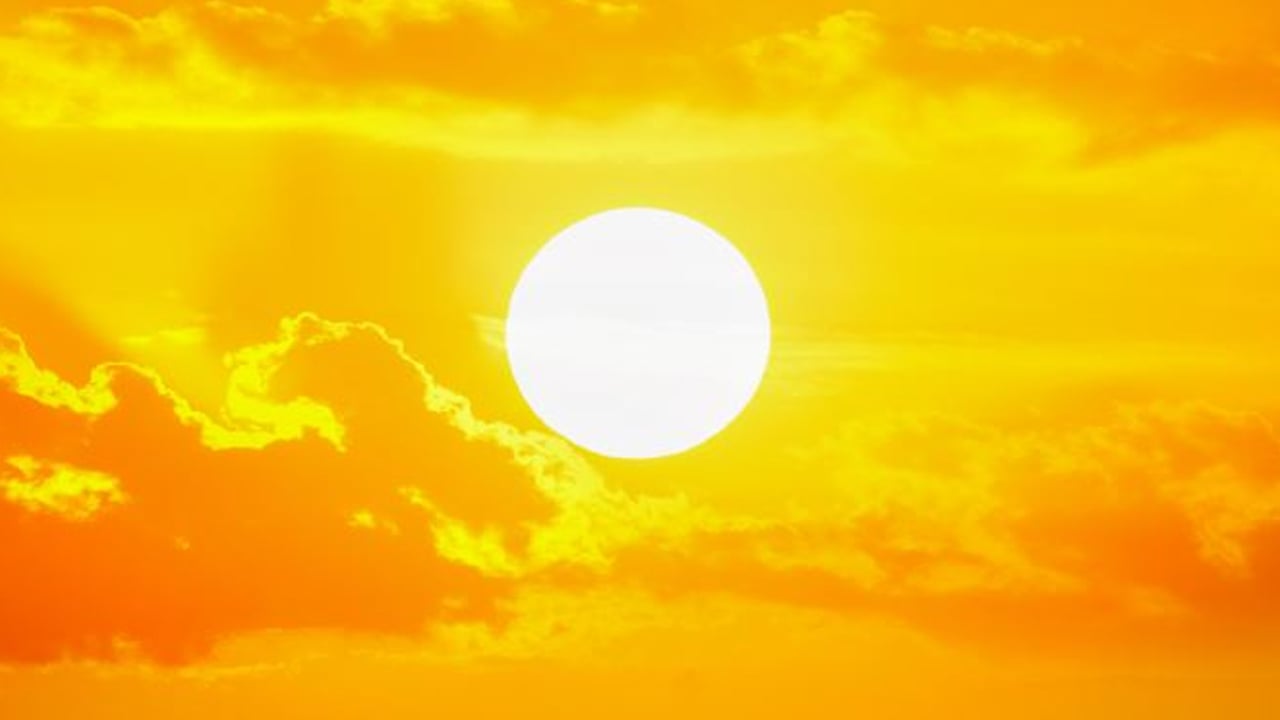 Foto - Gümüş böceğine bitkisel çözüm: Bunu yapın! Dostu kitap, düşmanı lavanta! Gümüş böceği neden olur?